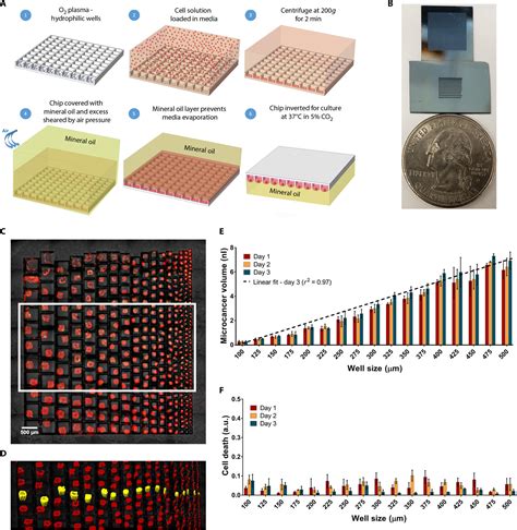 Three Dimensional Microscale Hanging Drop Arrays With Geometric Control