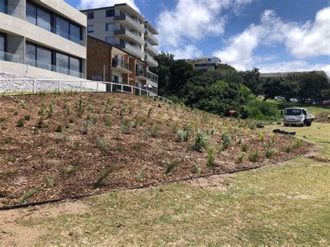 Neptune Park Coogee Your Say Randwick