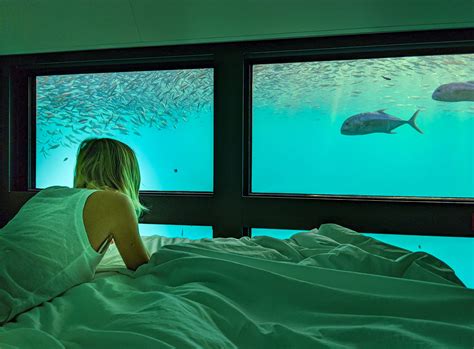 Sleep Next To Fish In The Great Barrier Reef At Australias Inaugural