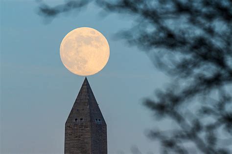 When To See Blood Moons Meteor Showers And Eclipses In