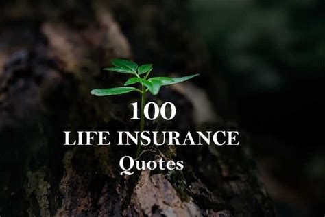 100 Life Insurance Quotes For You Just Read And Enjoy Catch Smile