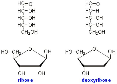 Seven Days Per Week Stpm Biology Biological Molecules Part 3