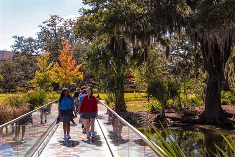 The New Orleans Museum Of Art Celebrates 20 Years Of The Sydney And