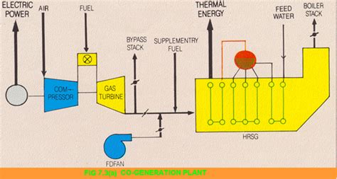 Cogeneration Plant