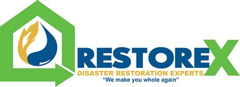 Should You Try To DIY Mold Remediation? - RestoreX