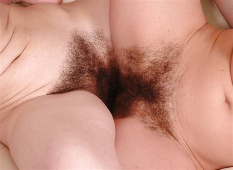 Hairy Lesbian Pussy Porn Pictures Xxx Photos Sex Images Pictoa
