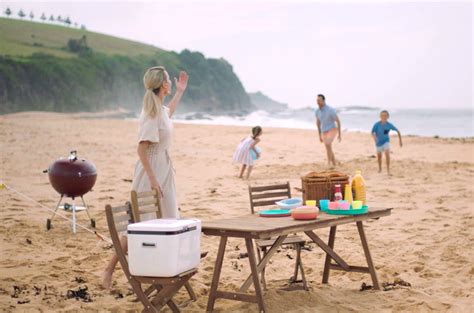 Переносной холодильник для пикника и автопутешествий • BENELUM Intelligence