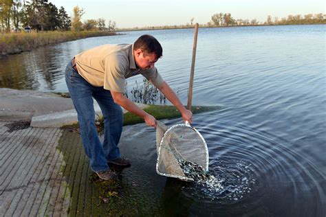 Base Lake Stocked With 10000 Redear Sunfish Offutt Air Force Base News