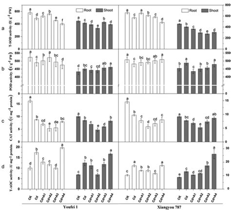 Full Article Abscisic Acid Modulates Differential Physiological And