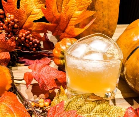 Apple Cider Gin Cocktail (Perfect For Fall)