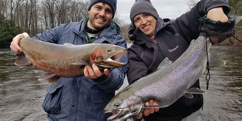 Steelhead Trout Fishing