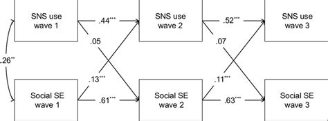 The Cross Lagged Longitudinal Relationships Between SNS Use And Social