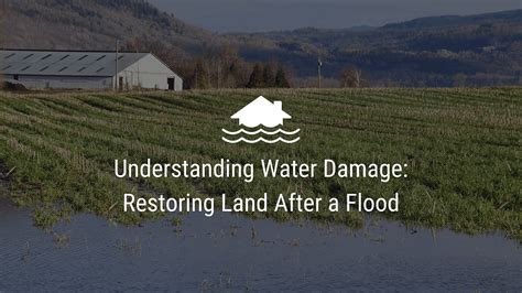 Understanding Water Damage Restoring Land After A Flood