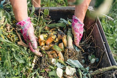 15 Tipps Rund Um Den Kompost Richtig Kompostieren Und Verwenden