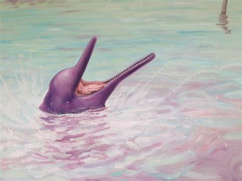 Amazon Pink Dolphin: A wonderful southamerican tale