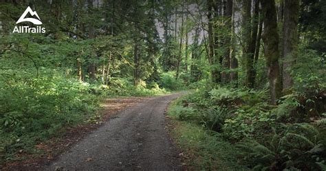 Best Hikes And Trails In Squak Mountain State Park Alltrails