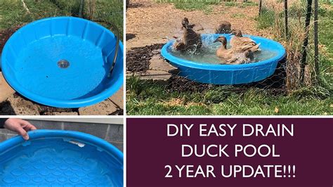 Diy Easy Drain Duck Pool 2 Year Update Youtube