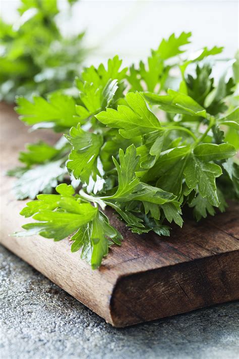 Comment utiliser le persil en cuisine - Marie Claire