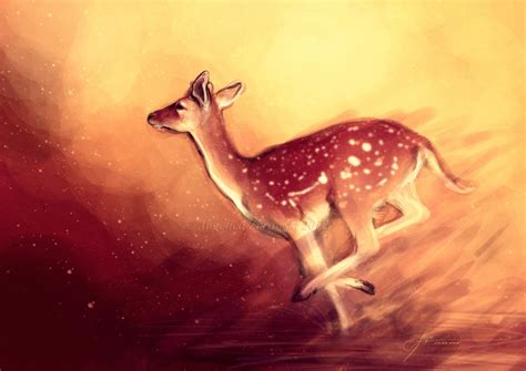 Fallow Deer By Endzi Z On Deviantart