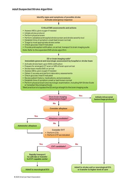 Algorithm Acls Suspected Stroke 200612 Pdf Stroke Emergency Medical Services