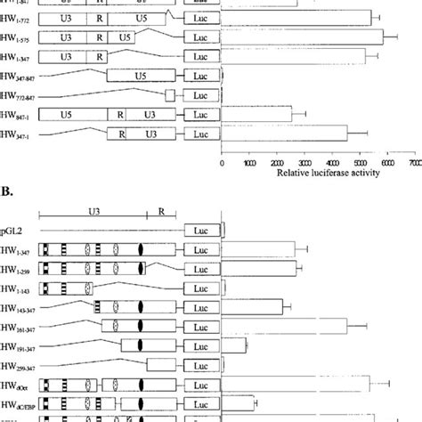 Analysis Of Transcriptional Regulatory Sequences In The Herv W Ltr