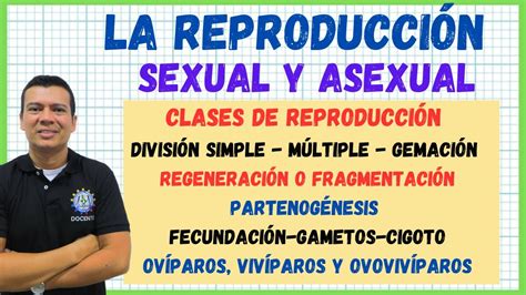 La Reproduccion Sexual Y Asexual Partenog Nesis Gemaci N