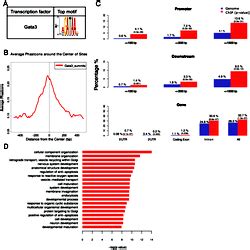 Genome-wide characterization of Gata3 binding sites in ChIP-seq.