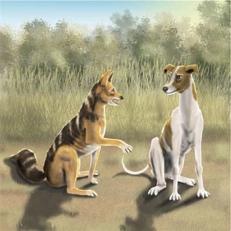 Dog and Jackal - Read and Learn | Shine Literacy