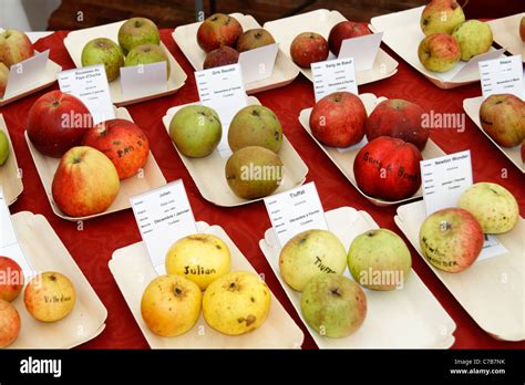 Variete de pomme Banque de photographies et d’images à haute résolution - Alamy