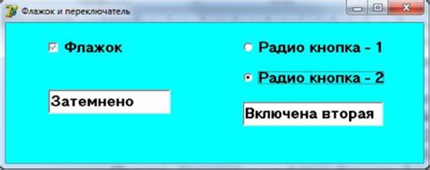 СОЗДАНИЕ ГРАФИЧЕСКОГО ИНТЕРФЕЙСА ПОЛЬЗОВАТЕЛЯ, Флажок, Переключатель ...
