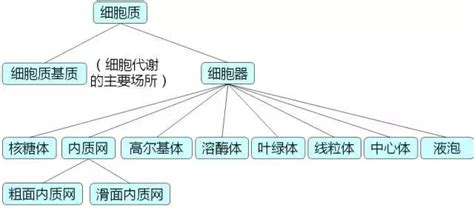 高中生物的細胞質、細胞器與生物膜系統知識清單 每日頭條