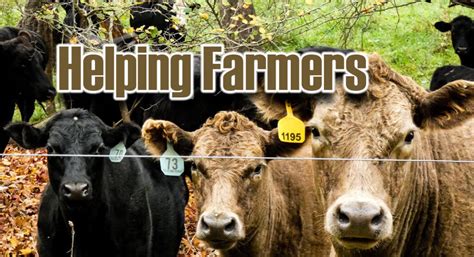 Online Tool For Farmers Ranchers To Report Anticompetitive Practices