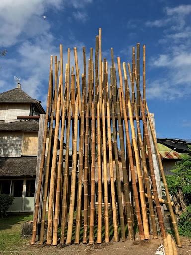 The 3 Stages For Turning Bamboo Into A Reliable Construction Material