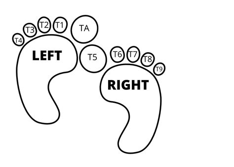 Podiatry Toe Modifier L Medical Billing L Podiatry L Modifiers L Cheat Sheet L - Etsy