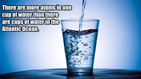 Fun Science Facts That Will Kickstart Your Brain - Barnorama