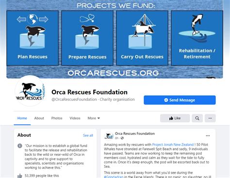 Contact Us – Orca Rescues