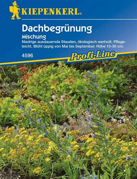 Kiepenkerl Dachbegr Nung Packung Bloomling Deutschland