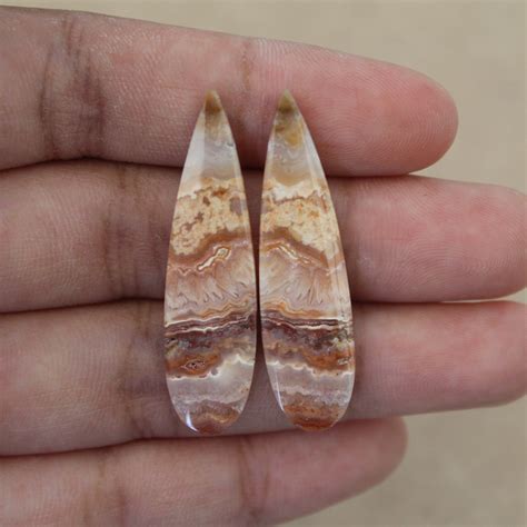 Plume Fossil Coral Druzy Pair Etsy Uk