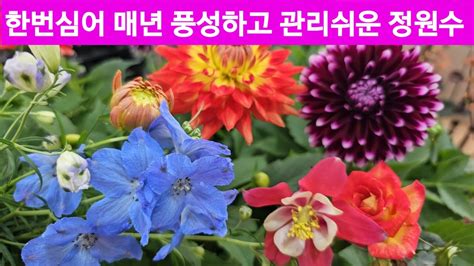 20가지 귀한 정원수 매년 풍성한 꽃 카틀레아 야생화꽃모종 다년생꽃모종 Youtube