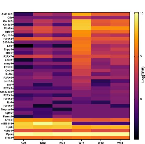 Heat Map Of Top 30 Degs Hierarchical Clustering Analysis This Heat Map Download Scientific