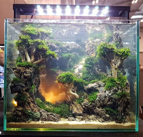 30 Coolest Aquascape Design That Looks Like Real