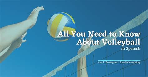 Volleyball Court Positions Names In Spanish - Infoupdate.org