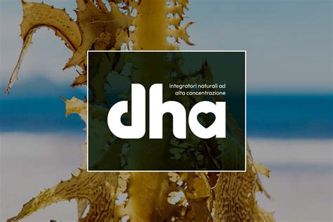 DHA - Brand identity & Logo design :: Behance