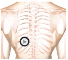 Easy Auscultation