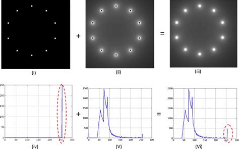 Simulation of image formation using Vosss’ PSF in [20]: (i) direct and ...