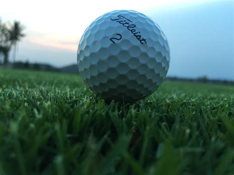 Sustainable turf will soon arrive at your local grass warehouse 34