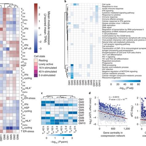 EQTLs Are Enriched In Proliferation And Immune Response Gene Modules A