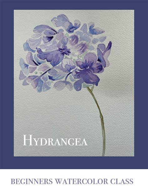 The Hydrangea in watercolor a beginner class - Raye of Light Studio