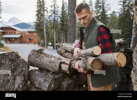 Man Gathering Firewood From Stack Outside Lodge Stock Photo Alamy