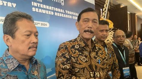 Menko Luhut Targetkan Hilirisasi Rumput Laut Ri Tembus Rp Triliun Di